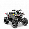 2022 Polaris Phoenix 200