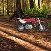 2021 Honda CRF50F